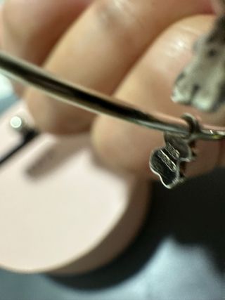 Criollas Tous Plata 925