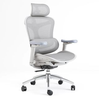 Silla de oficina ergonómica Sihoo gris
