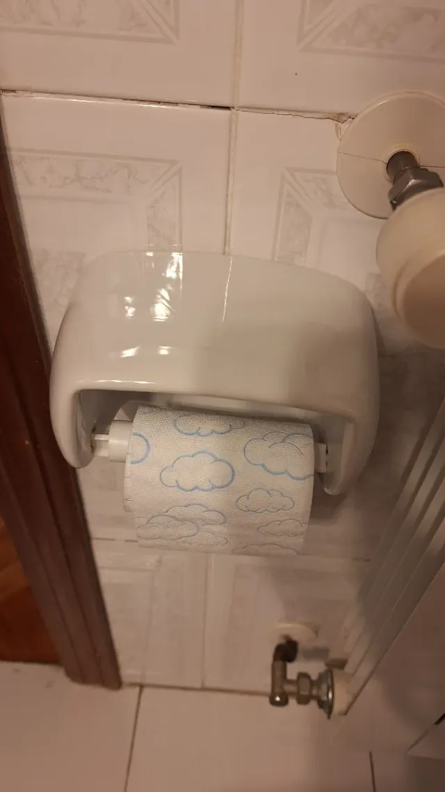 Inodoro Roca y portarrollos de Porcelana Blanco