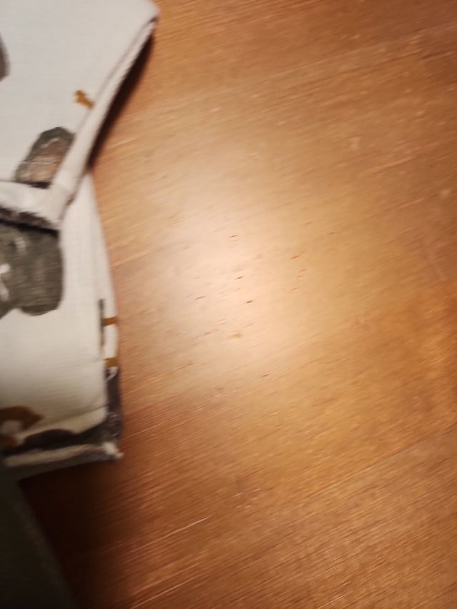 Conjunto bebé sudadera y polaina