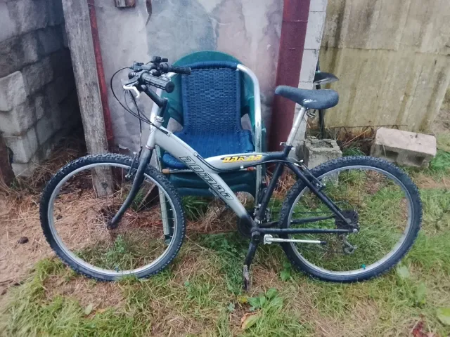 Bicicleta de Montaña