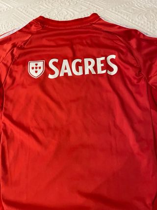 Camiseta Benfica 23/24 Adidas Roja