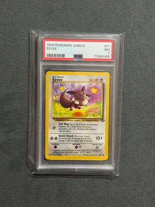 Carta Eevee 1999 PSA 7 Jungle NM