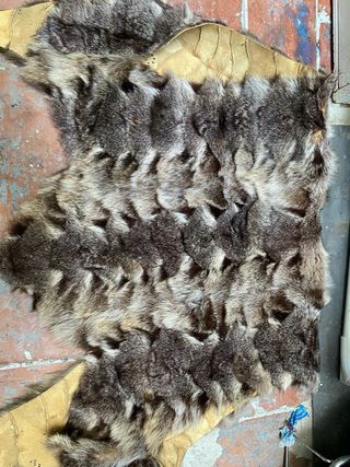 chaleco de mapache original 
artesano 