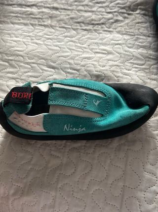 Pies de gato Boreal Ninja