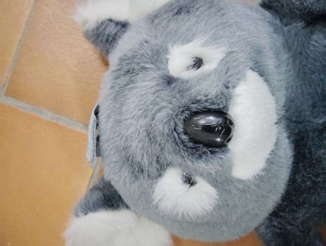 Mochila Koala