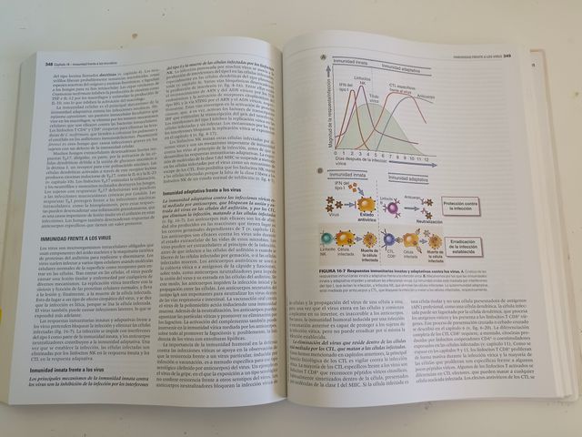 Inmunología celular y molecular 8ª edición