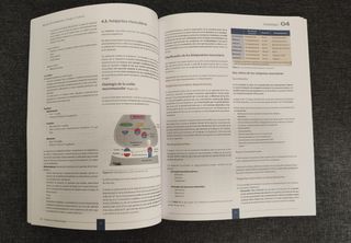 Manual CTO Medicina 9ª ED (Obra Completa): Neum...