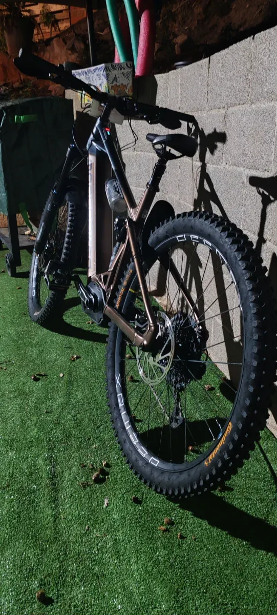 Bicicleta de montaña eléctrica