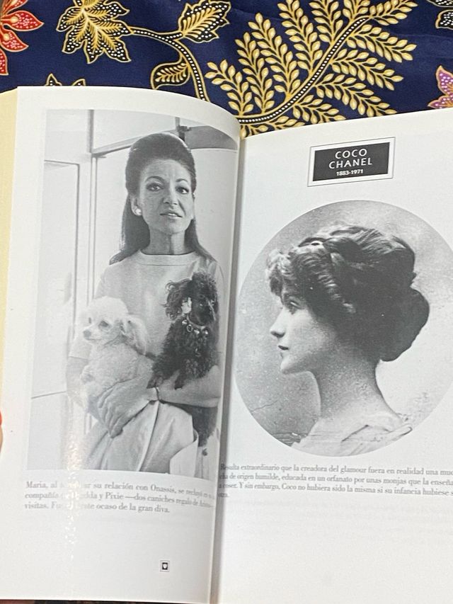 Divas rebeldes / Rebel Divas (Spanish Edition)