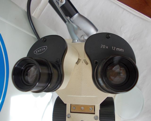 Microscopio estereoscópico Enosa 20x