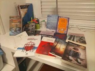 Lote de 17 libros de literatura xuvenil en galego