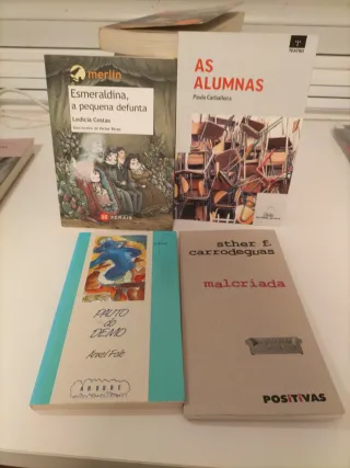 Lote de 17 libros de literatura xuvenil en galego