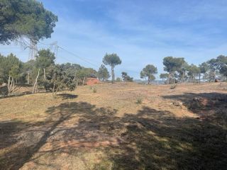 trabajos forestales,