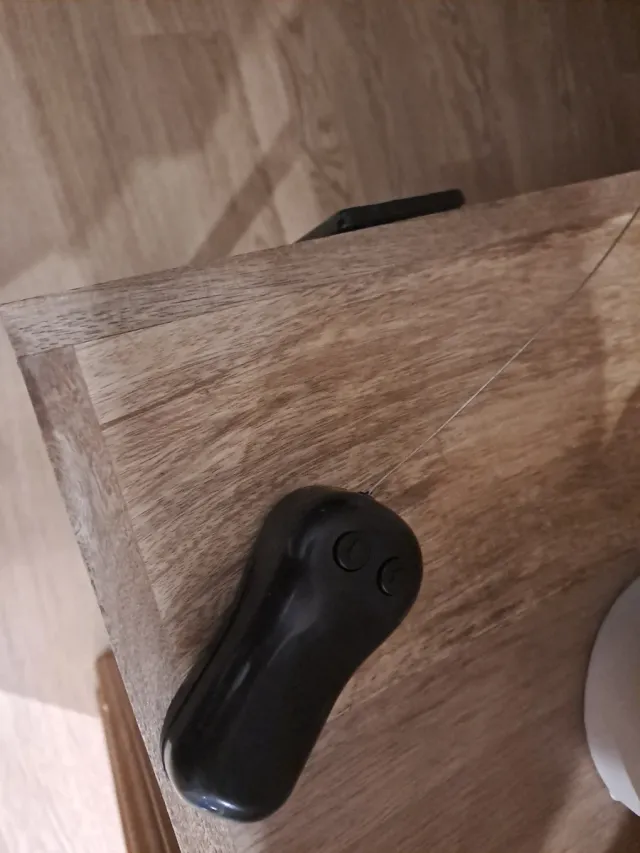 Coche teledirigido negro