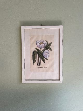 Quadro Botanico Provenzale