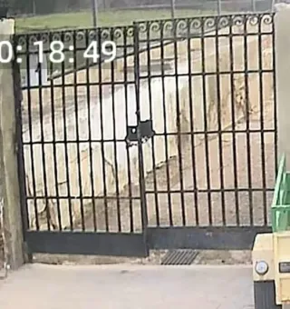 Puerta de chalet de hierro forjado