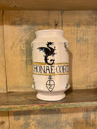 Vaso farmacia Molaroni Pesaro Cinchonae Cortex