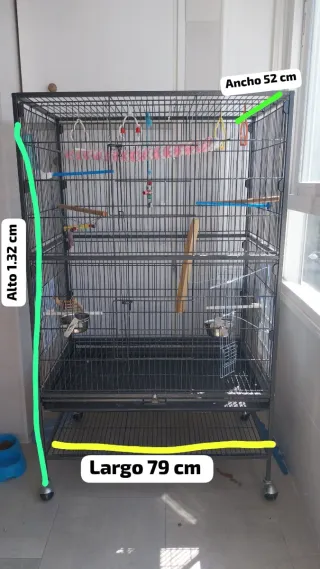 Jaula para pájaros o agapornis
Precio negociable 