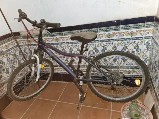 Bicicleta azul