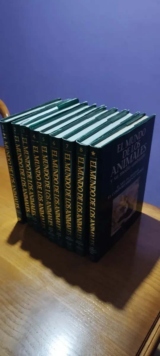 El mundo de los animales y su  medio ambiente