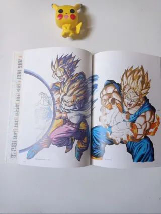 Dragon Ball Ilustraciones Art-book 1996 1 edición