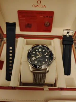 Omega Seamaster 300 M Co-Axial 2025
