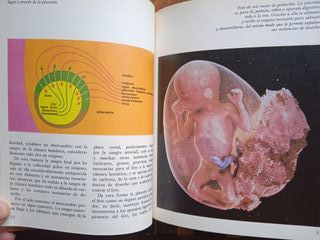 Biblioteca Salvat Grandes Temas (Libros 1-4)