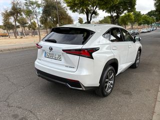 Lexus NX 2020 Executive 4x4