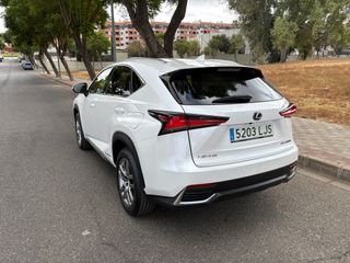 Lexus NX 2020 Executive 4x4