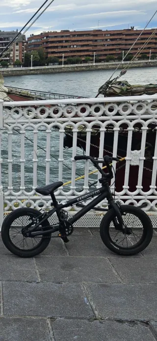 Bicicleta BMX infantil Radio Bike Co. 14