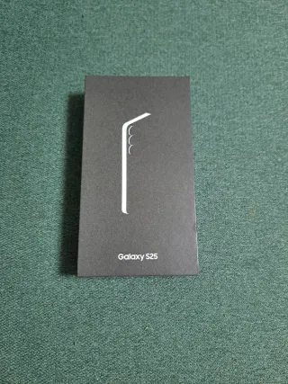 Samsung Galaxy S25 Plata Nuevo