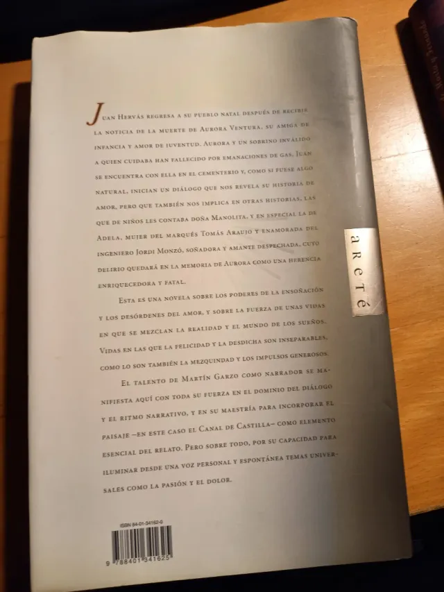 SOÑADORA, LA (Spanish Edition)