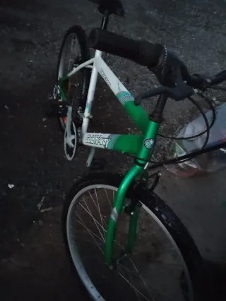 Bicicleta Montaña Verde y Blanca