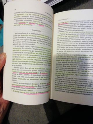 La meditación vipásana