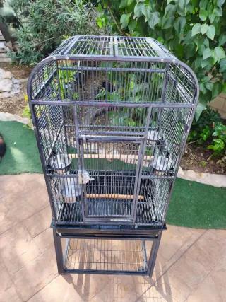 Jaula grande para pájaros