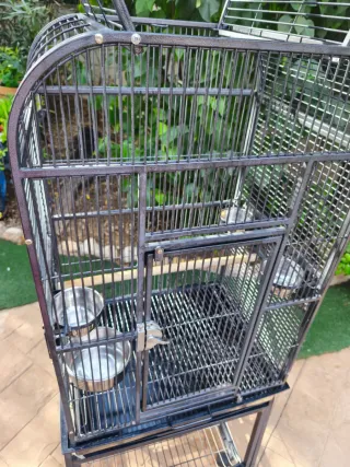 Jaula grande para pájaros