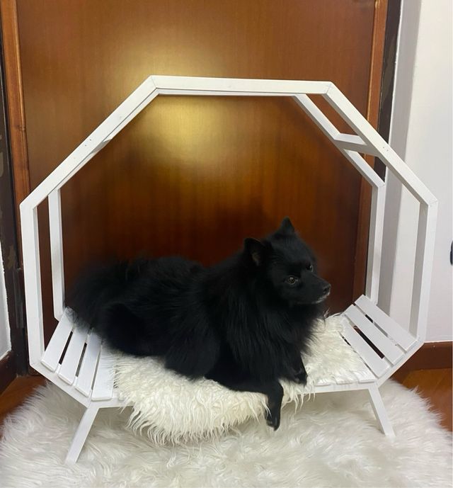 Cuccia design per cane/gatto