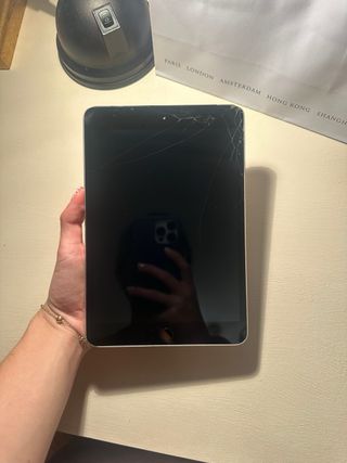 iPad mini Negro