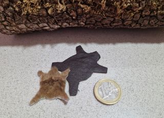 Lote miniaturas: cesta huevos, panes, libro