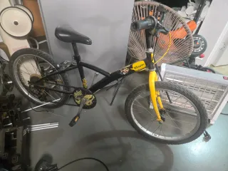 Bicicleta Infantil 20 Pulgadas