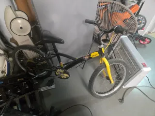 Bicicleta Infantil 20 Pulgadas