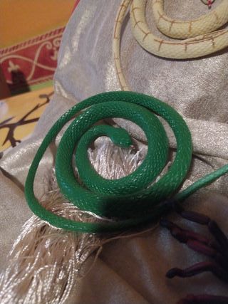 Set animali in gomma: serpenti e scorpione