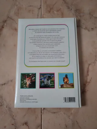 Pack libros infantiles animales y dinosaurios