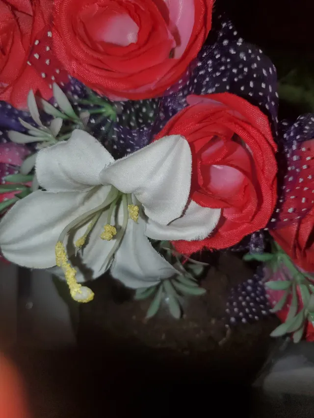 Limpieza, cuidado de ancianos/niños...