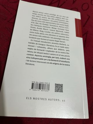 CINCO SEMANAS EN GLOBO