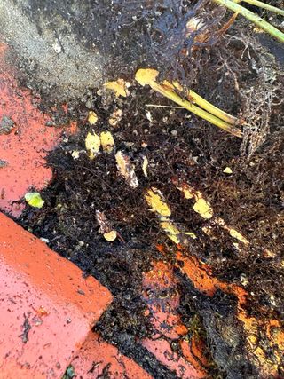 Reparación de Tejados Y Mantenimiento