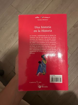 Una historia en la Historia
