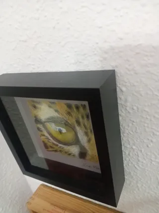 Cuadro ojo de guepardo, papel
