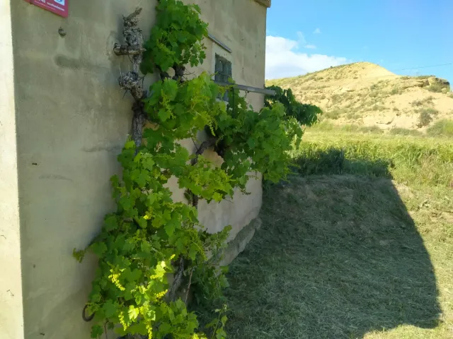 Terreno rústico con escritura i edificación Huesca